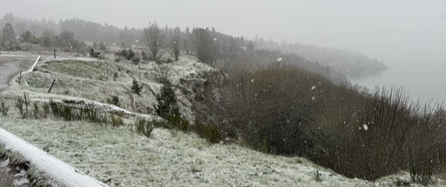 A photo I took while listening to the book. It has no relevance to the book.